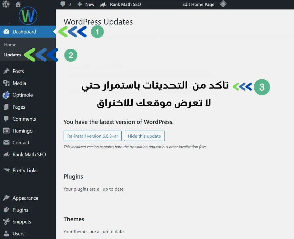 الصورة لقطة شاشة لصفحة لوحة تحكم ووردبريس مع قسم التحديثات مفتوح. يحتوي قسم تحديثات ووردبريس، الذي يعرض النسخة المترجمة، على الترجمة وإصلاحات توطين متنوعة أخرى. يقول النص: "تحديثات ووردبريس".